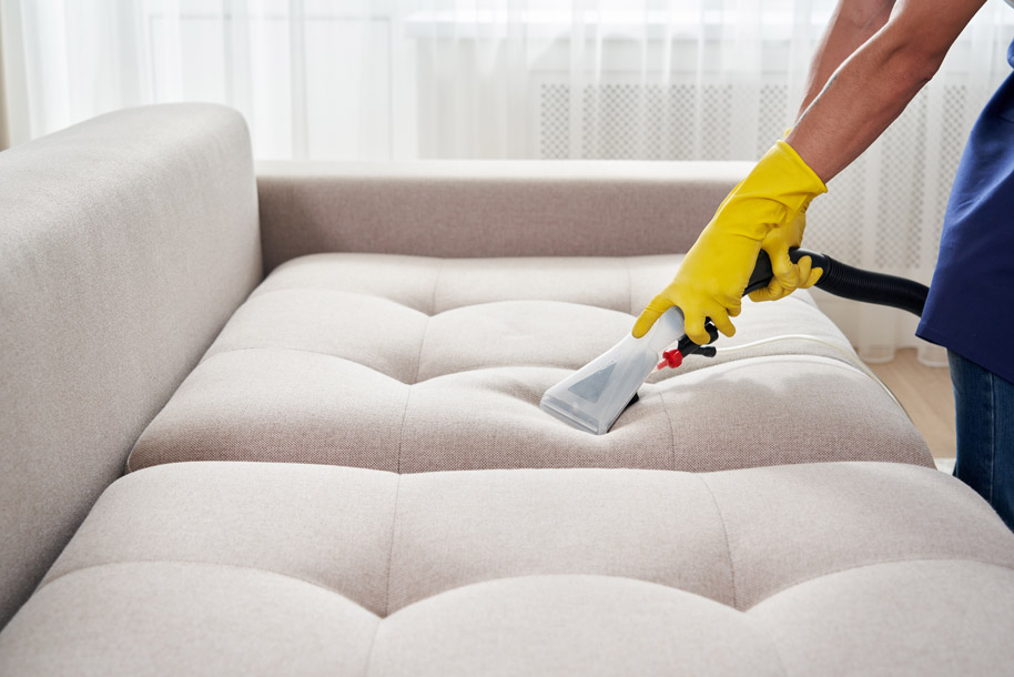professional-sofa-cleaner
