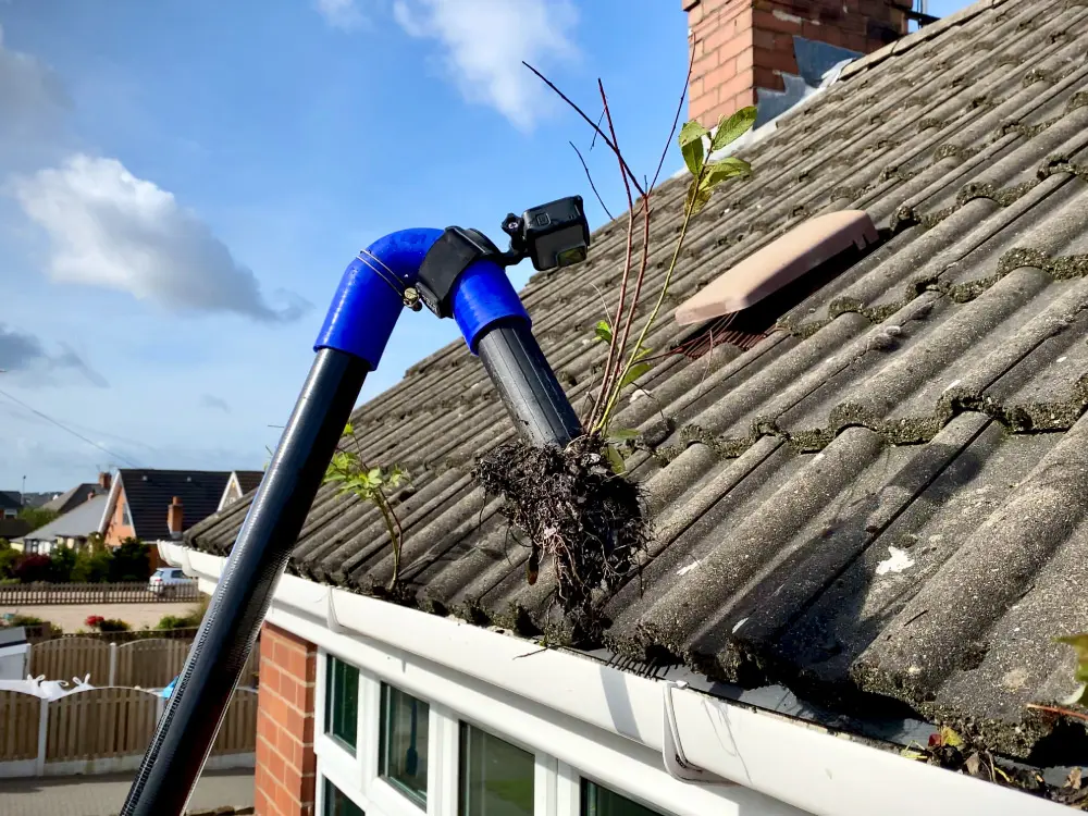 local gutter service